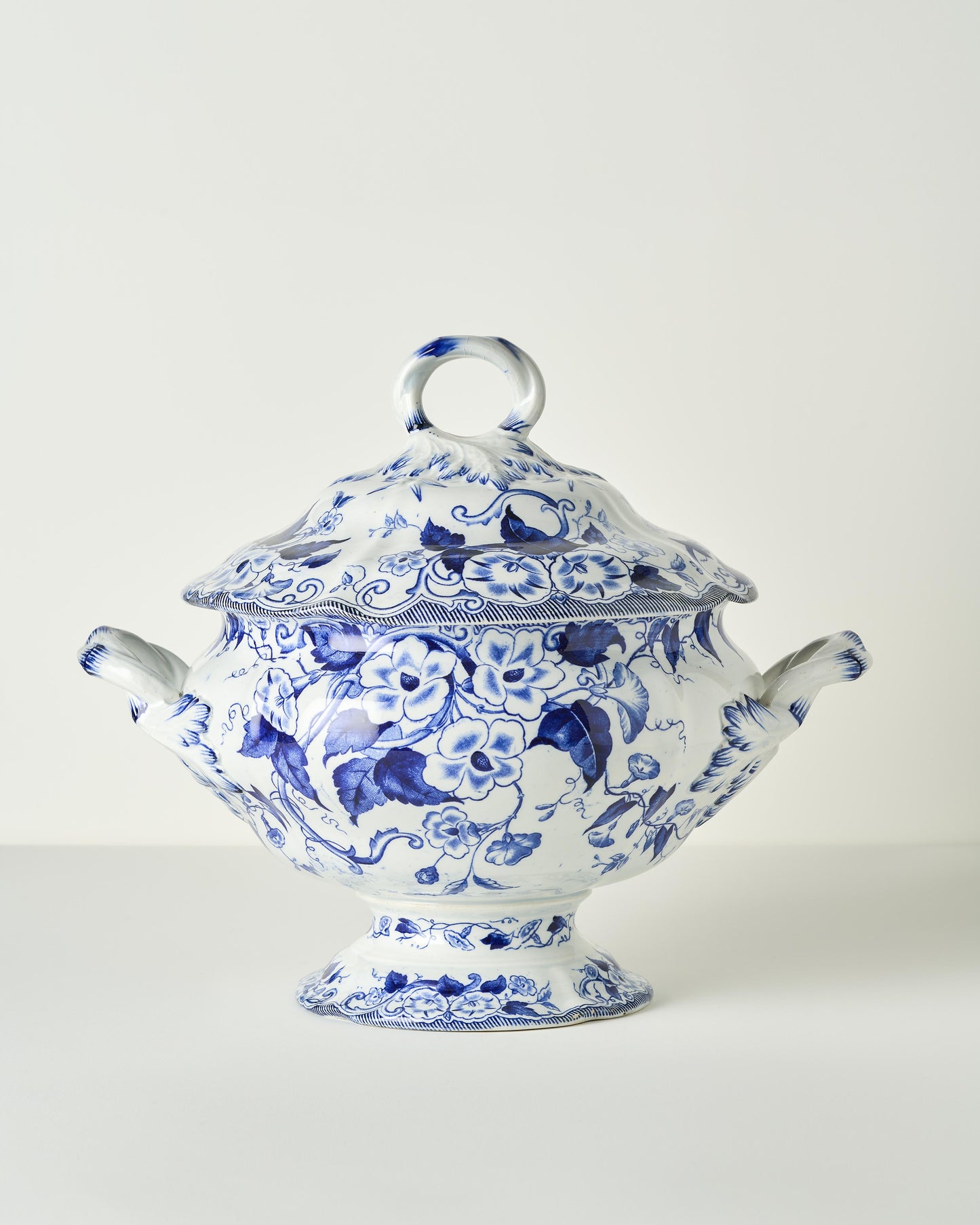 Creil et Montereau Flora Tureen
