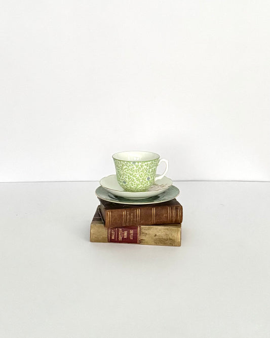 Vintage Royal Stuart Teacup & Saucer